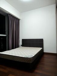 Queens Peak (D3), Condominium #497428461